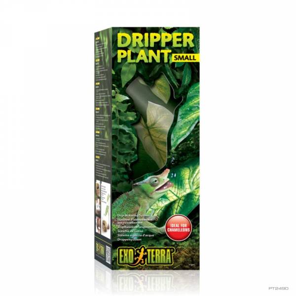 DRIPPER PLANT SMALL